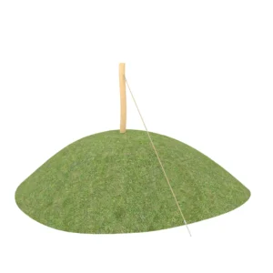 Robinia RB1377 — Nowa Strefa