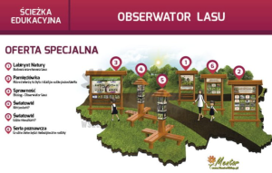 Ścieżka edukacyjna. Obserwator lasu — Nowa Strefa