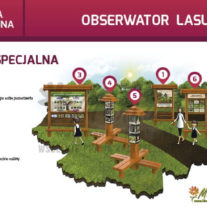 Ścieżka edukacyjna. Obserwator lasu