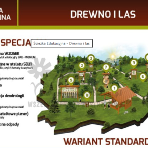 Ścieżka edukacyjna. Drewno i las