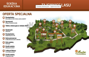 Ścieżka edukacyjna.Tajemnice lasu — Nowa Strefa