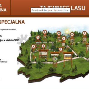 Ścieżka edukacyjna.Tajemnice lasu