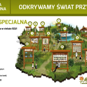 Ścieżka edukacyjna. Odkrywamy świat przyrody