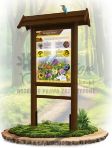 Stelaż drewniany do tablicy edukacyjnej SD21 75×100 cm — Nowa Strefa