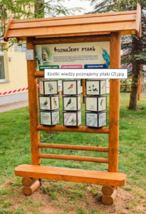 Gra terenowa. Kostki wiedzy z ławką — Nowa Strefa