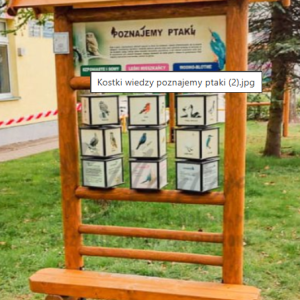 Gra terenowa. Kostki wiedzy z ławką