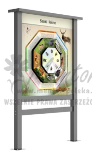 Gra terenowa. Gra terenowa. Chronos Allu Premium