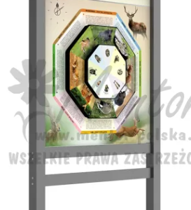 Gra terenowa. Gra terenowa. Chronos Allu Premium