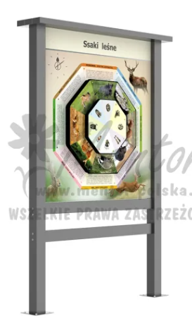 Gra terenowa. Gra terenowa. Chronos Allu Premium