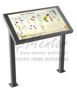 Tablica Edukacyjna Premium. Tabula — Nowa Strefa