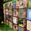 Gra edukacyjna Biblijne-Memory — ujęcie 4