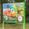 Tablica edukacyjna 4 pory roku — ujęcie 6
